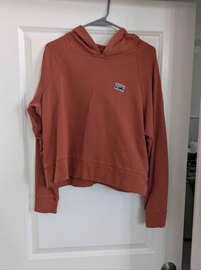 Patagonia Rosewood Hooded Pullover Sweatshirt